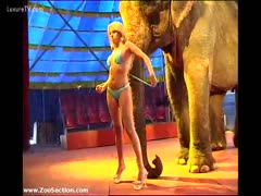 Perfect blond honey standing with a large elephant while wearing a little thong bikini